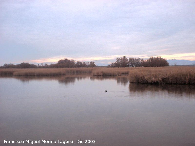 Parque Nacional de Las Tablas de Daimiel - Parque Nacional de Las Tablas de Daimiel. 