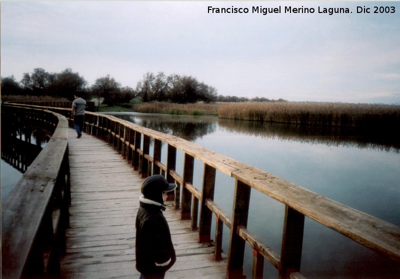 Parque Nacional de Las Tablas de Daimiel - Parque Nacional de Las Tablas de Daimiel. 