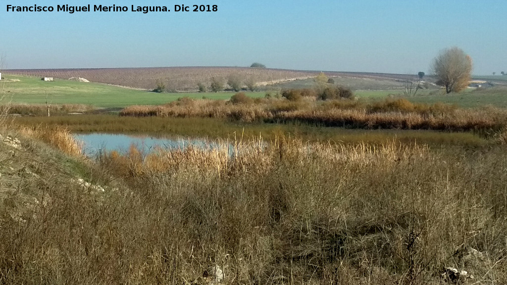 Parque Nacional de Las Tablas de Daimiel - Parque Nacional de Las Tablas de Daimiel. Desde el Molino Grin