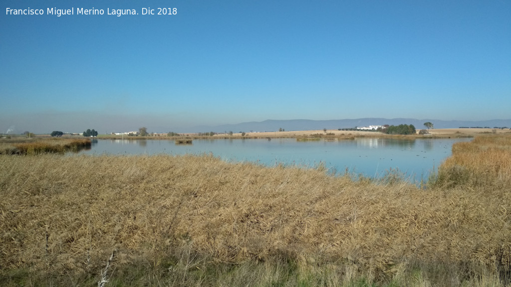 Parque Nacional de Las Tablas de Daimiel - Parque Nacional de Las Tablas de Daimiel. 