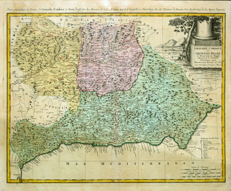 Provincia de Granada - Provincia de Granada. Mapa 1782