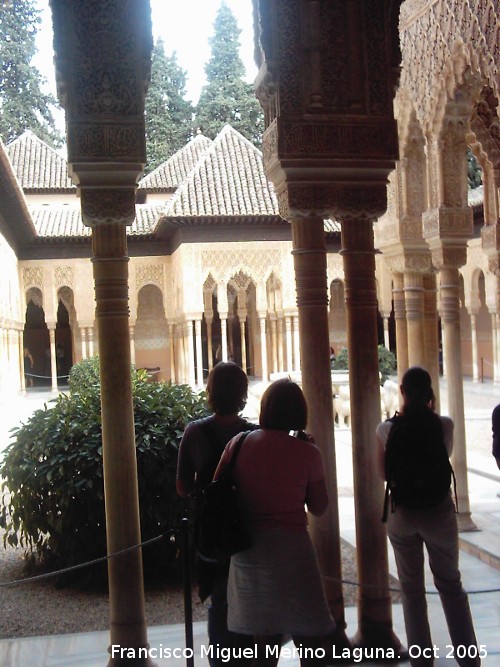 Alhambra. Patio de los Leones - Alhambra. Patio de los Leones. 