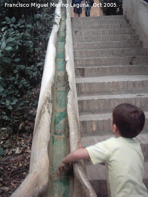 Generalife. Escalera del Agua - Generalife. Escalera del Agua. 
