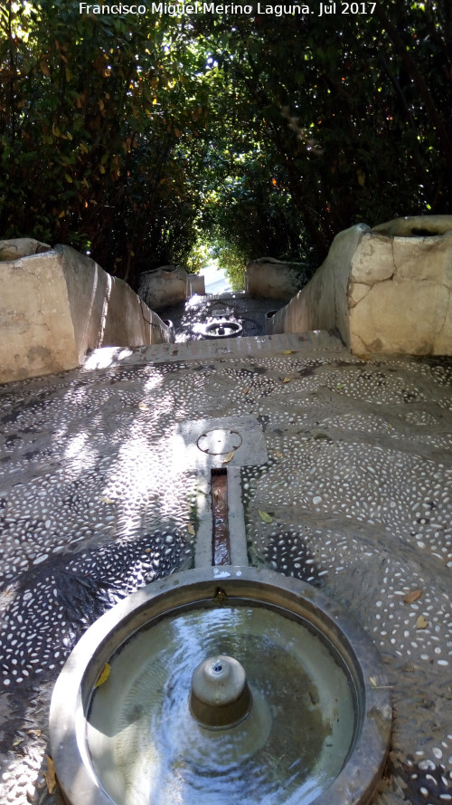 Generalife. Escalera del Agua - Generalife. Escalera del Agua. 