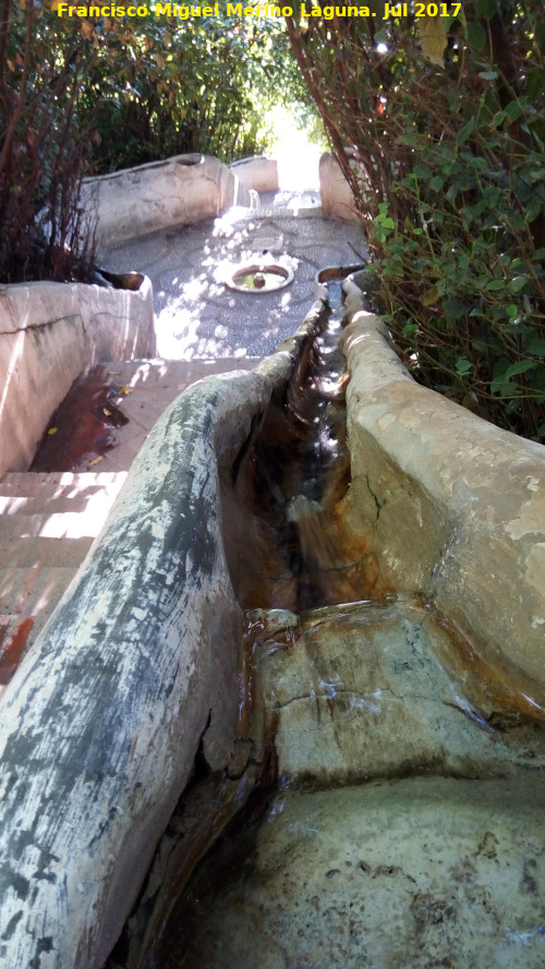 Generalife. Escalera del Agua - Generalife. Escalera del Agua. 