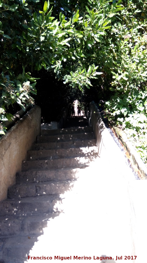 Generalife. Escalera del Agua - Generalife. Escalera del Agua. 