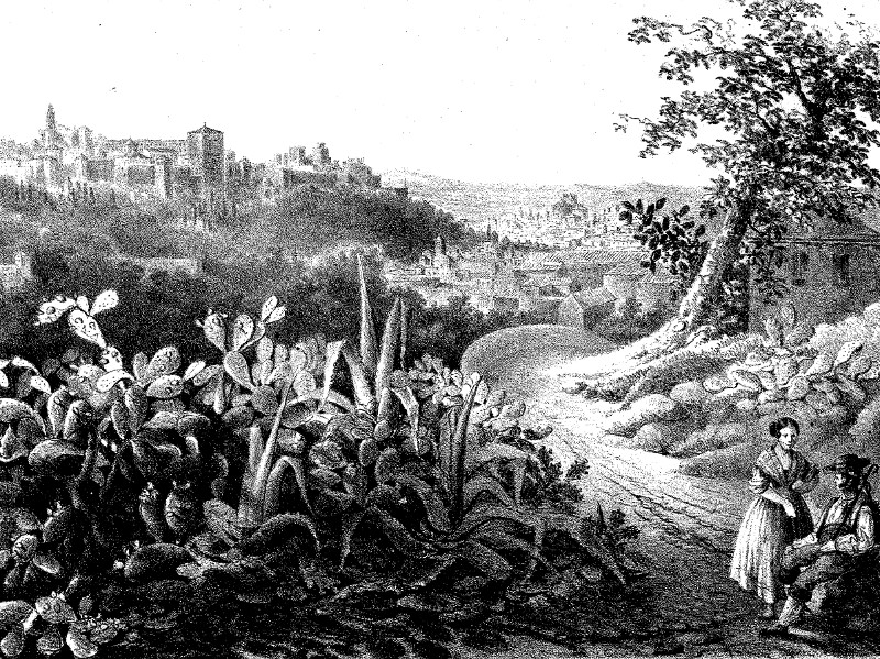Sacromonte - Sacromonte. Vista de la Alhambra desde el Monte Sacro. Dibujo de F. J. Parcerisa 1850