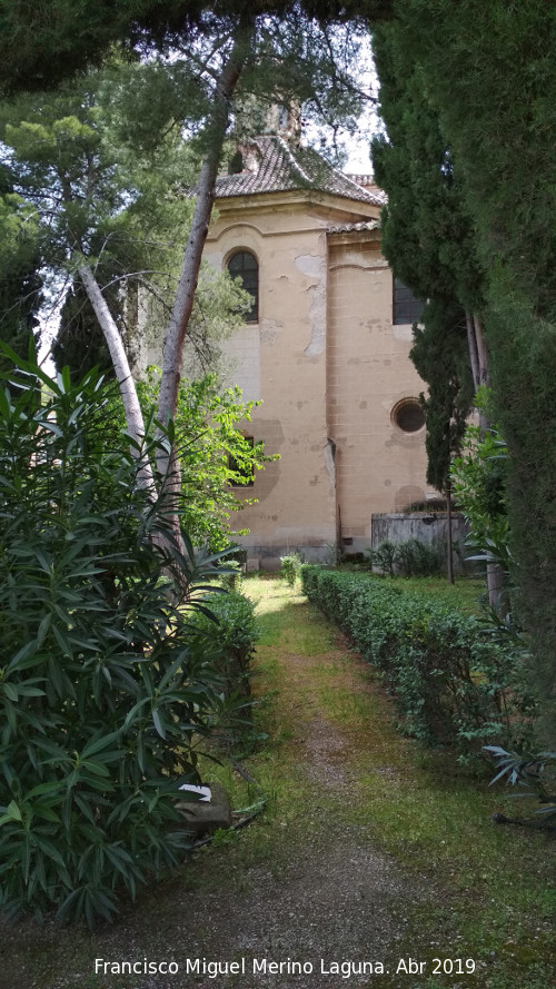 Monasterio de la Cartuja - Monasterio de la Cartuja. Jardn lateral