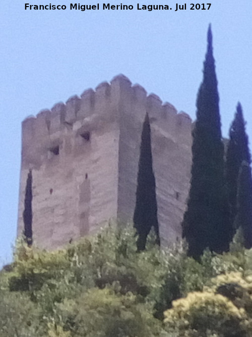 Alhambra. Torre del Homenaje - Alhambra. Torre del Homenaje. Desde el Darro