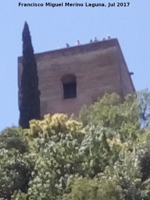 Alhambra. Torre de las Armas - Alhambra. Torre de las Armas. Desde el Darro