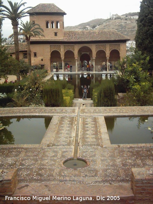 Alhambra. Jardines del Partal - Alhambra. Jardines del Partal. El Pardal desde el Pabelln
