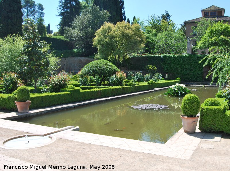 Alhambra. Palacio de Yusuf III - Alhambra. Palacio de Yusuf III. Alberca