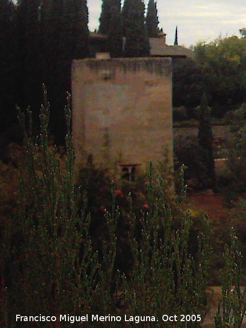 Alhambra. Torre de la Cautiva - Alhambra. Torre de la Cautiva. 