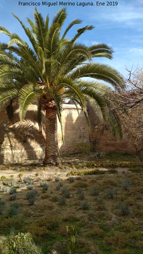 Palacio de Dar Al-Horra - Palacio de Dar Al-Horra. Patio trasero