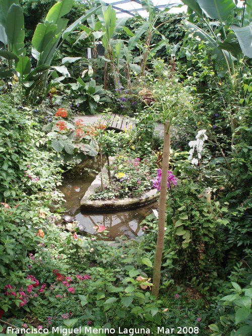 Parque de las Ciencias - Parque de las Ciencias. Mariposario