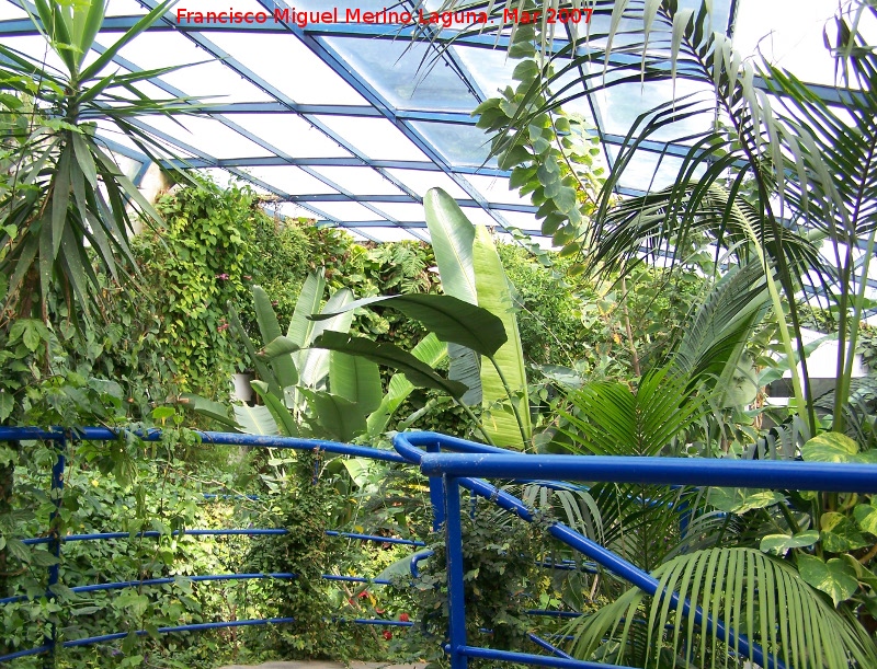 Parque de las Ciencias - Parque de las Ciencias. Mariposario