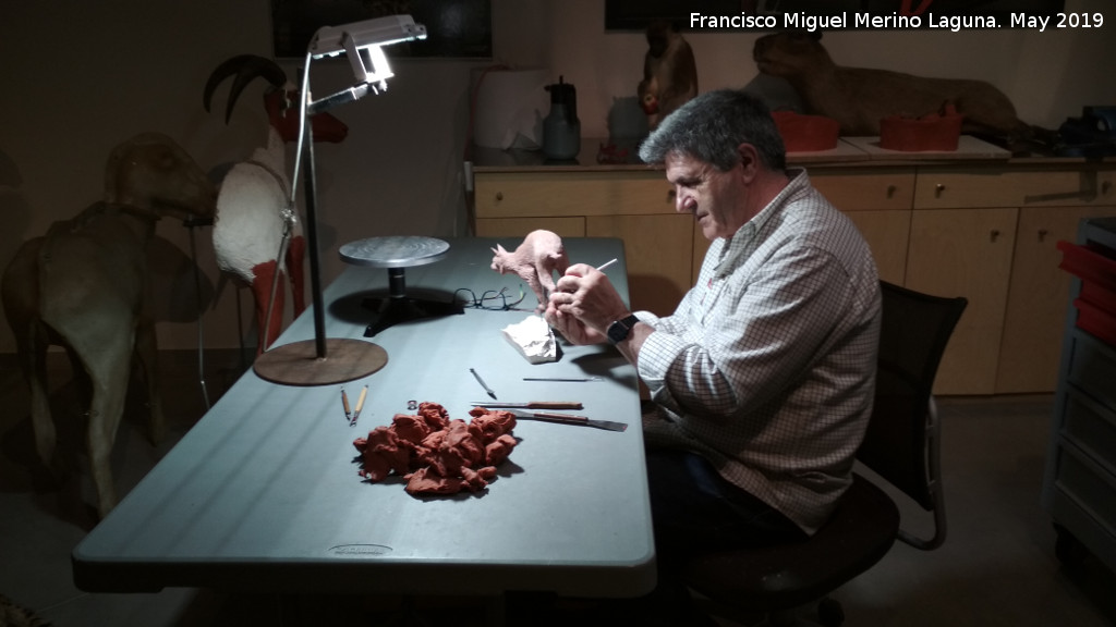 Parque de las Ciencias - Parque de las Ciencias. Artista haciendo una escultura de un lince