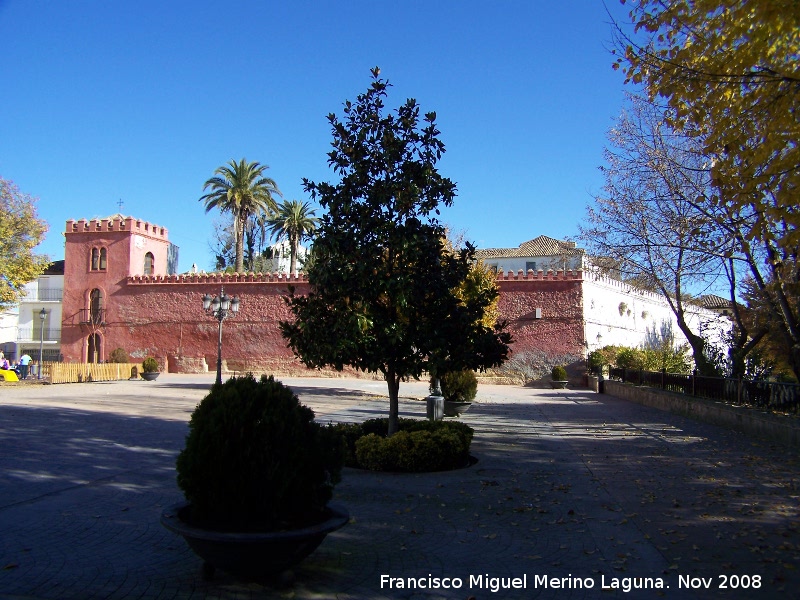 Castillo de Alhama de Granada - Castillo de Alhama de Granada. 