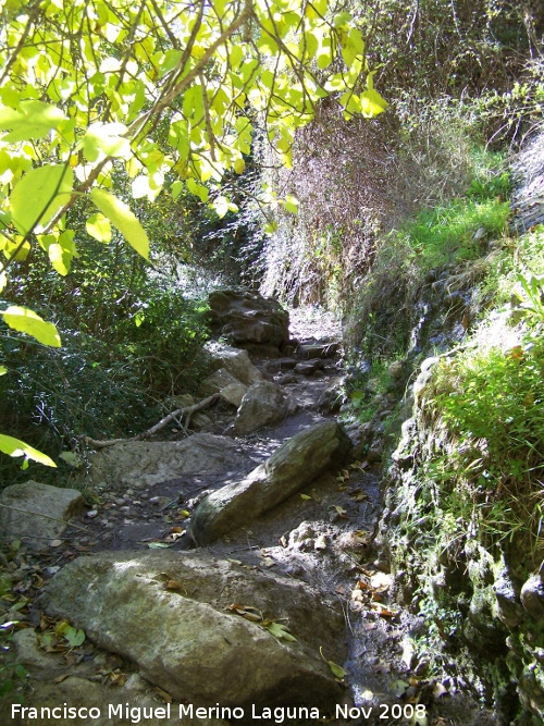 Camino del Ro Alhama - Camino del Ro Alhama. 