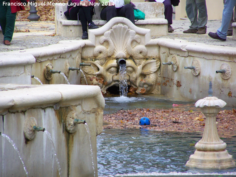 Fuente del Rey - Fuente del Rey. 