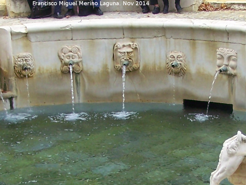 Fuente del Rey - Fuente del Rey. 