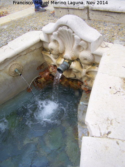 Fuente del Rey - Fuente del Rey. 