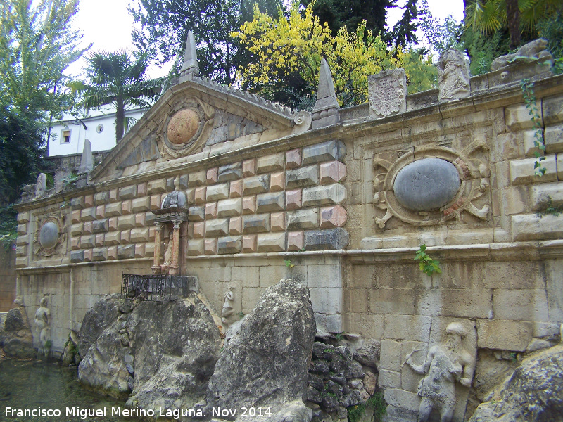 Fuente de la Salud - Fuente de la Salud. 