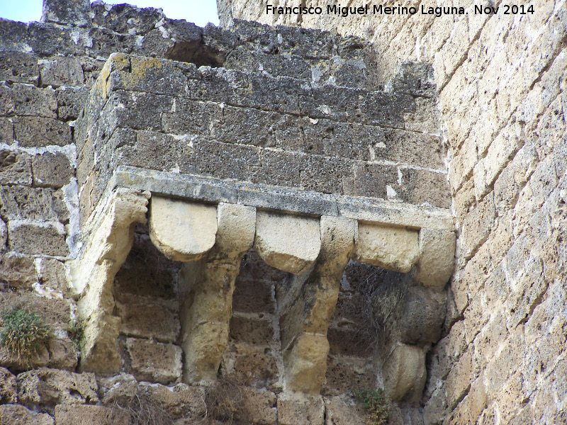 Castillo de Priego de Crdoba - Castillo de Priego de Crdoba. Matacn