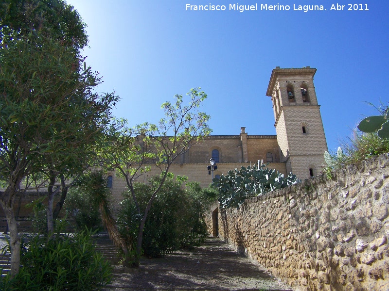 Colegiata de la Asuncin - Colegiata de la Asuncin. 