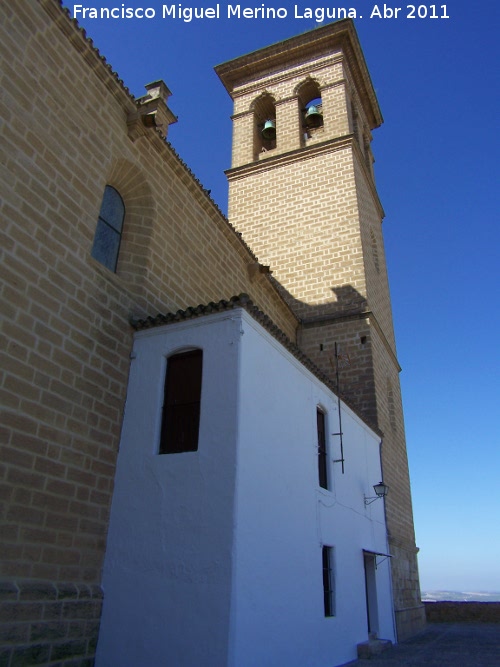 Colegiata de la Asuncin - Colegiata de la Asuncin. Torre