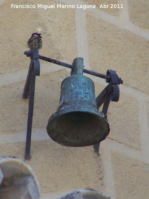 Colegiata de la Asuncin - Colegiata de la Asuncin. Campanillo