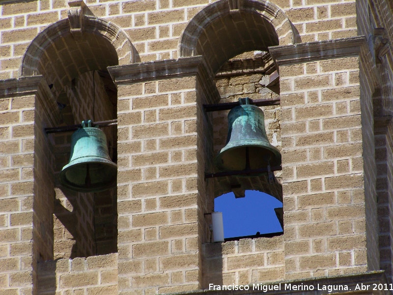 Colegiata de la Asuncin - Colegiata de la Asuncin. Campanas