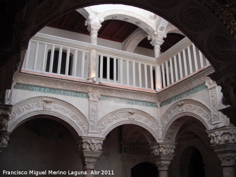 Colegiata de la Asuncin - Colegiata de la Asuncin. Patio