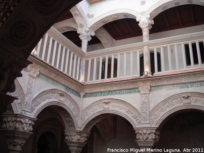 Colegiata de la Asuncin - Colegiata de la Asuncin. Patio