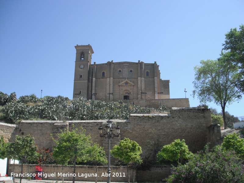 Colegiata de la Asuncin - Colegiata de la Asuncin. 