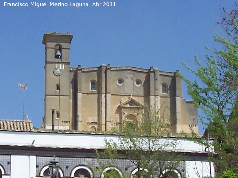 Colegiata de la Asuncin - Colegiata de la Asuncin. 