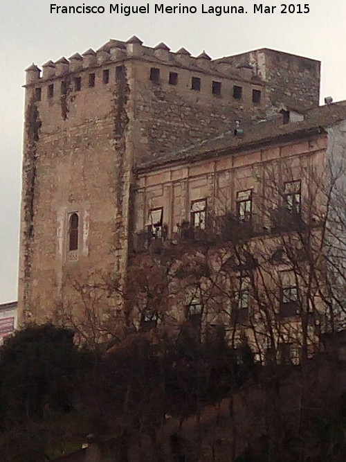 Castillo de los Condes de Cabra - Castillo de los Condes de Cabra. 