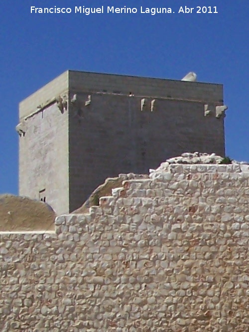 Alczar. Torre del Homenaje - Alczar. Torre del Homenaje. 