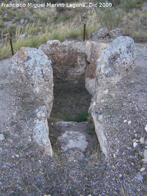 Dolmen 137 - Dolmen 137. 