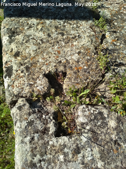 Poblado Ibero-Romano de Hiponova - Poblado Ibero-Romano de Hiponova. Hueco de grapa