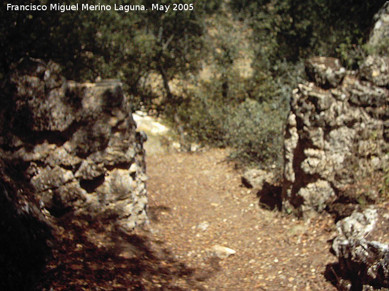 Poblado visigodo de El Castelln - Poblado visigodo de El Castelln. Puerta de acceso