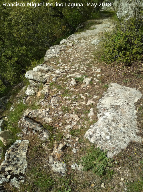 Poblado visigodo de El Castelln - Poblado visigodo de El Castelln. Camino Medieval