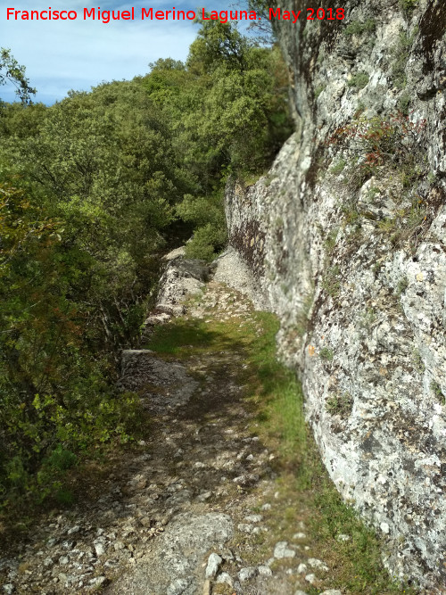 Poblado visigodo de El Castelln - Poblado visigodo de El Castelln. Camino medieval