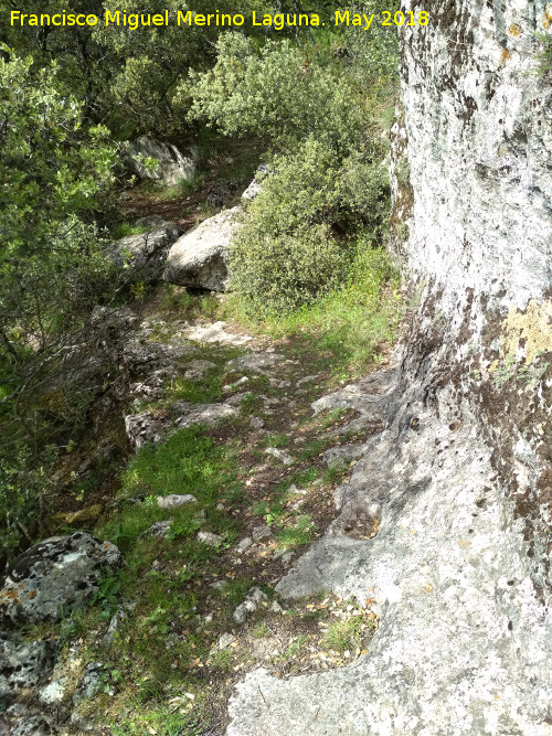 Poblado visigodo de El Castelln - Poblado visigodo de El Castelln. Camino medieval