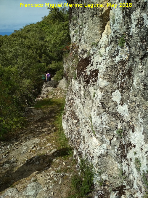 Poblado visigodo de El Castelln - Poblado visigodo de El Castelln. Camino medieval