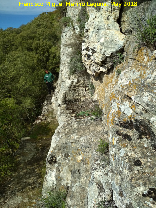 Poblado visigodo de El Castelln - Poblado visigodo de El Castelln. Camino medieval