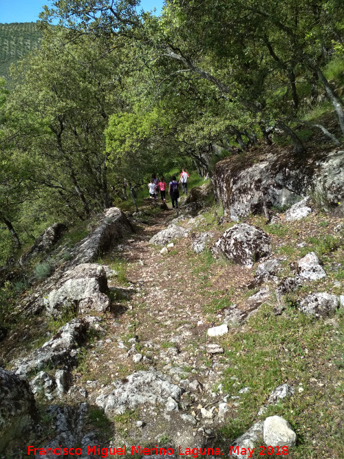 Poblado visigodo de El Castelln - Poblado visigodo de El Castelln. Camino medieval