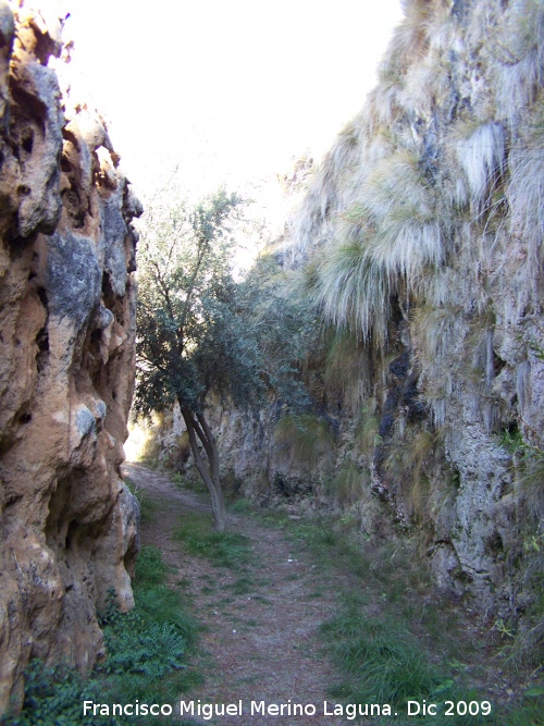 Acueducto del Toril - Acueducto del Toril. Toril