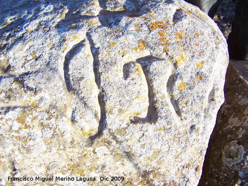 Petroglifos de Alicn de las Torres - Petroglifos de Alicn de las Torres. Smbolos
