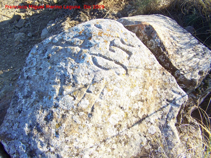 Petroglifos de Alicn de las Torres - Petroglifos de Alicn de las Torres. Piedra con antropomorfos y smbolos